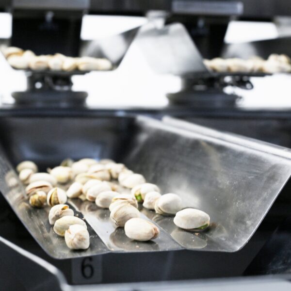 primer plano de la pesadora lineal JORES TECHNOLOGIES® dispensando pistachos