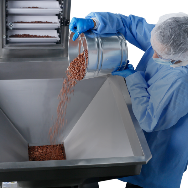 Un trabajador que lleva equipo de protección desechable vierte granos rojos en la tolva de un alimentador vibratorio colocado junto a un elevador de cangilones motorizado JORES TECHNOLOGIES®. Se pueden ver granos transportados dentro del transportador motorizado