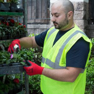 Jardinero usando el chaleco de seguridad color lima mientras está en un vivero organizando las plantas