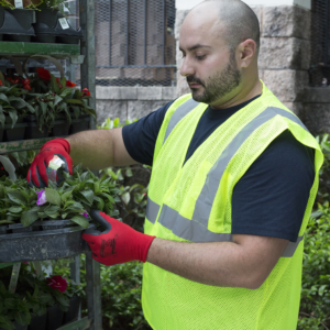 Trabajador usando los guantes de trabajo de seguridad JORESTECH con nitrilo para jardinería y paisajismo